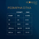Платье-бодистокинг Moonlight Plus Model 08 XL-XXXL Red